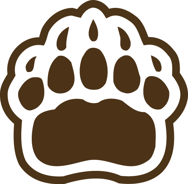 Brown Bears 1997-Pres Secondary Logo v2 iron on transfers for T-shirts